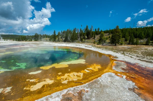 Naturligt varm källa, Yellowstone National Park — Stockfoto