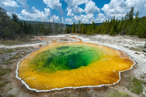 Morning glory pool, Yellowstone — Stockfoto