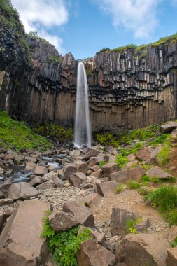 Svartifoss şelale, Skaftafell Milli Parkı, İzlanda