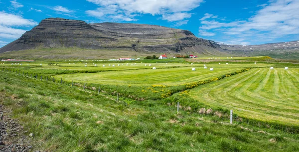 Bardastrond 피 요 르 드, Westfjords, 아이슬란드 — 스톡 사진