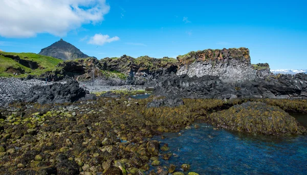 Hellnar, péninsule de Snaefellsnes, Islande — Photo