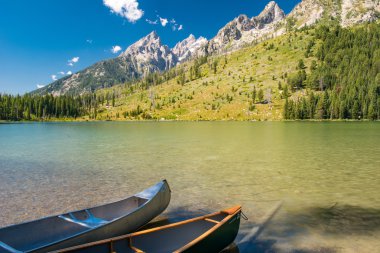 Grand Teton Ulusal Parkı