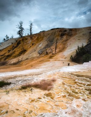 Mamut kaplıca, Yellowstone Milli Parkı