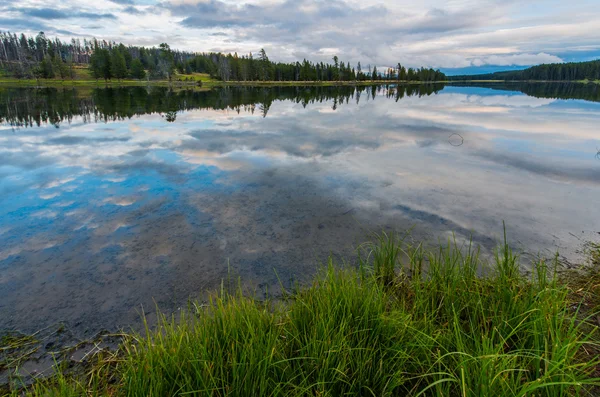 Parque Nacional de Yellowstone — Foto de Stock