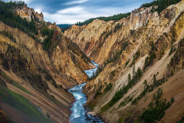 Gran Cañón de Yellowstone — Foto de Stock