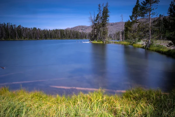 Parque Nacional de Yellowstone — Foto de Stock