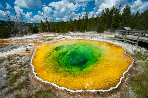 Ранкова слава басейн, Yellowstone — стокове фото