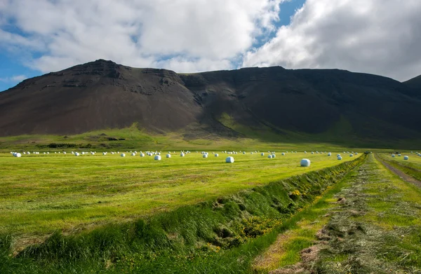 Panoramic view of Reykjanes peninsula — Stock Photo, Image