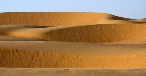 Woestijn zand-duin — Stockfoto