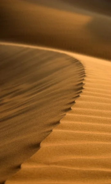 Пустеля піску, дюни — стокове фото