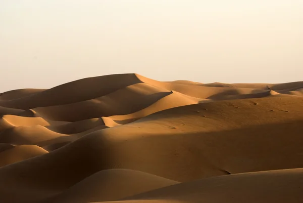 Duna de arena del desierto — Foto de Stock