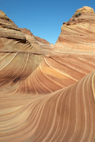 Paria Canyon, Arizona — Fotografia de Stock