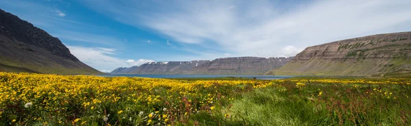 Bílé fanda propadne — Stock fotografie