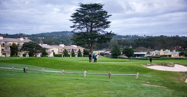 Monterey golf course — Stock Photo, Image