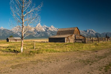 Grand Teton Ulusal Parkı, Wyoming
