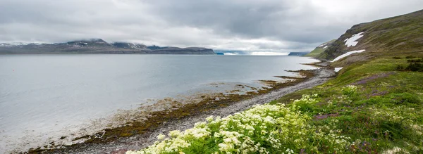 Honstrandir přírodní rezervace, Island — Stock fotografie