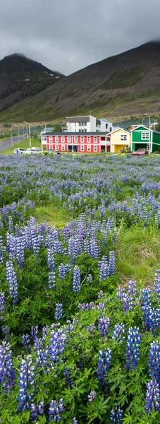Letiště Siglufjordur města, severně od Islandu — Stock fotografie