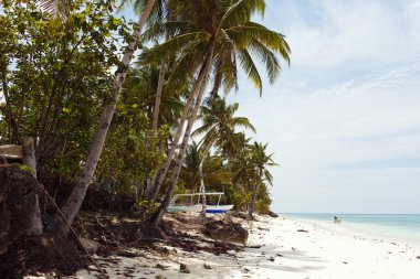 palmiye ağaçları ile denizin güzel sahil şeridi, turkuaz görünümü,