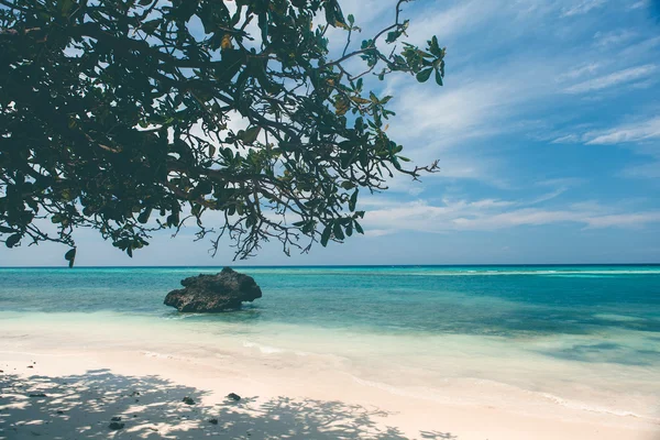 Costa de playa tropical virgen, vista turquesa del mar wi —  Fotos de Stock