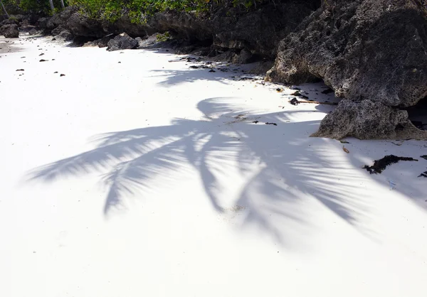 Sombra de palmeras en la playa tropical de arena blanca —  Fotos de Stock