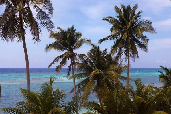 Hermosa vista turquesa del mar con palmeras —  Fotos de Stock