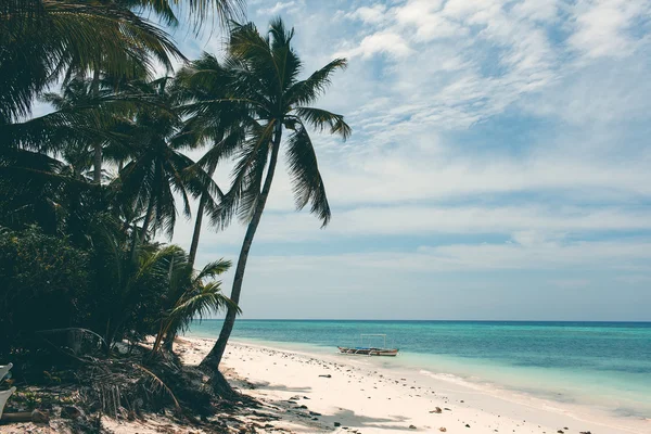 Hermosa costa, vista turquesa del mar con palmeras , —  Fotos de Stock