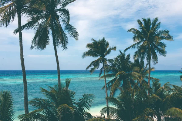 beautiful turquoise view of the sea with palm trees, blue cinema