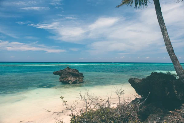 Hermosa costa, vista turquesa del mar con palmeras a —  Fotos de Stock
