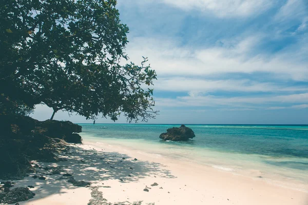 Costa de playa tropical virgen, vista turquesa del mar wi —  Fotos de Stock