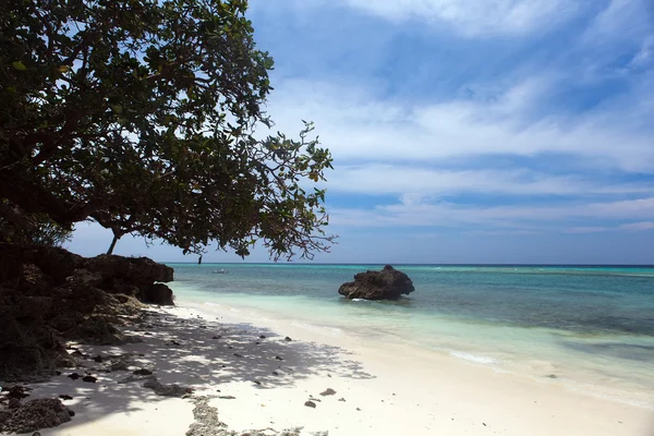 El değmemiş tropikal plaj sahil şeridi, turkuaz manzarası deniz wi