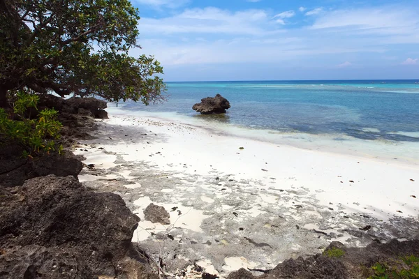 Dziewiczej tropikalnej plaży, turkus widok na morze z tropica — Zdjęcie stockowe