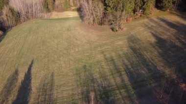 Bahar günbatımında çayır