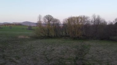 Şehrin yukarısındaki bahar çayırı