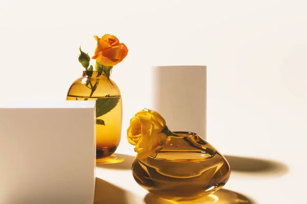 Roses in glass vases and white podiums on beige background with hard long shadows composition — Foto de Stock