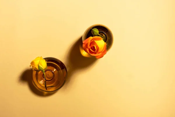 Garden roses in glass vases on beige background with hard long shadows flat lay — Foto de Stock