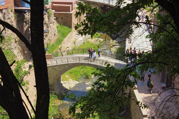 Georgia 2017 Year Beautiful Bridges City Tbilisi View Botanical Garden — Zdjęcie stockowe