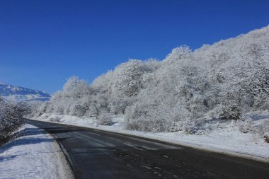 Azerbaijan. Beautiful winter snowy forest. Kusar district. Shahdag National Park.