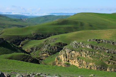 Beautiful, spring mountains in the green grass. In early spring.
