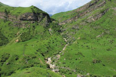 Azerbaycan. Yeşillikte güzel dağlar. Kusar bölgesi.