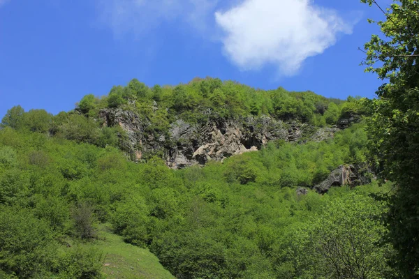 Azerbaïdjan Belles Montagnes Verdoyantes Été Shamakhi — Photo