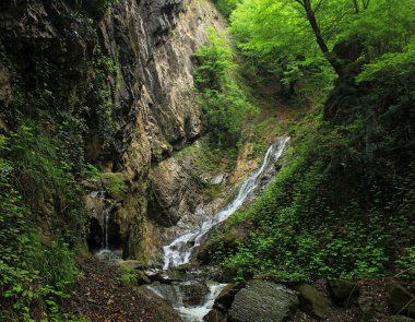 Azerbaycan. Ormanda resim gibi bir şelale. Baharda..