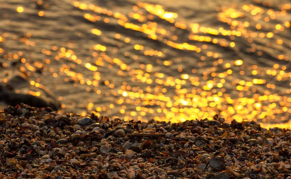 Gyllene Sommarsolnedgången Vid Havet — Stockfoto