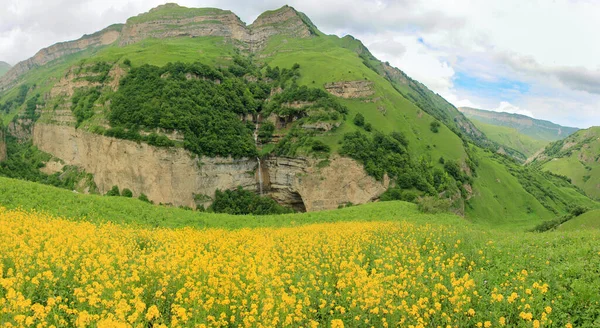 Aserbaidschan Schöne Wiese Mit Gelben Blumen Und Einem Wasserfall — Stockfoto