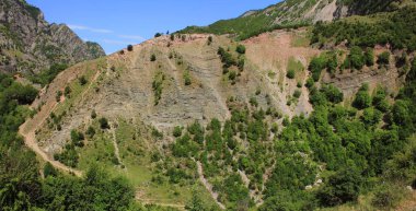 Dağlardan inen patika. Baharda..