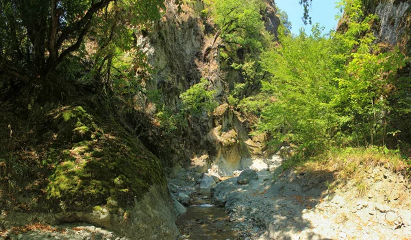 Прекрасна Гірська Ущелина Річкою Весна — стокове фото