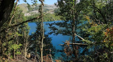 Gölün kıyısındaki aşılmaz güzel orman..