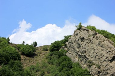 Yaz ormanında güzel bir kaya.
