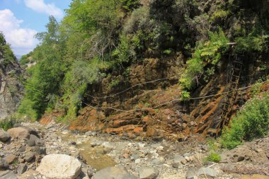 Ormandaki bir kayadan sülfürik bir pınar yükseliyor..