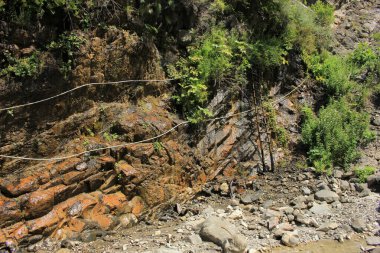 Ormandaki bir kayadan sülfürik bir pınar yükseliyor..