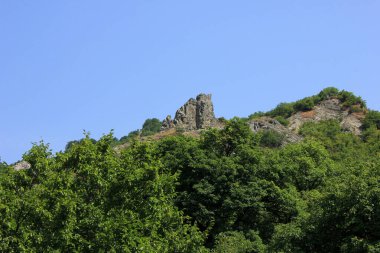 Yaz ormanında güzel bir kaya.